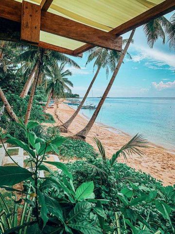 ShakaBrah Beachfront Surf Skate Hostel, תמונה 8 מתוך 12