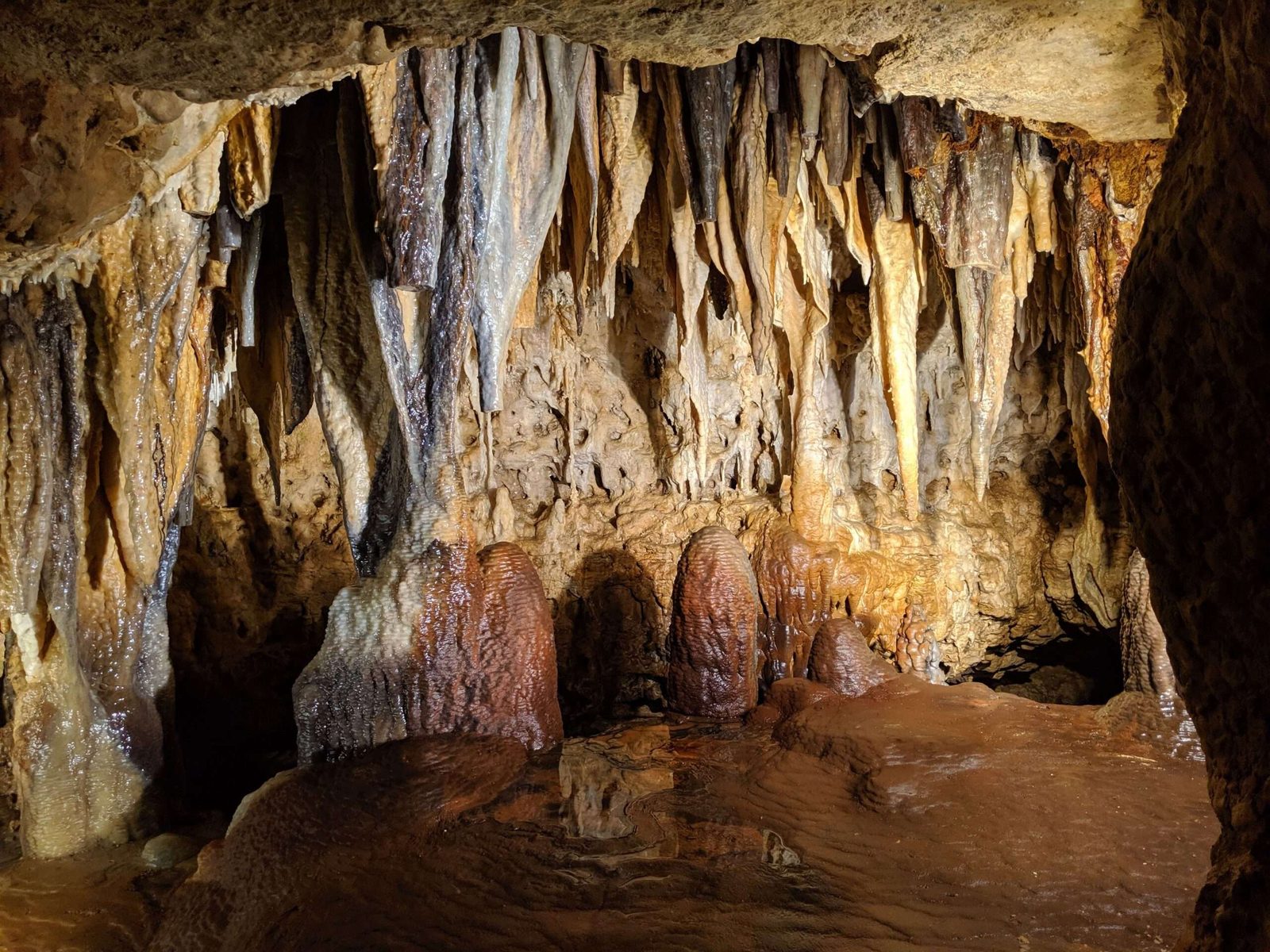 מערת טאינגבאן (Tayangban Cave)